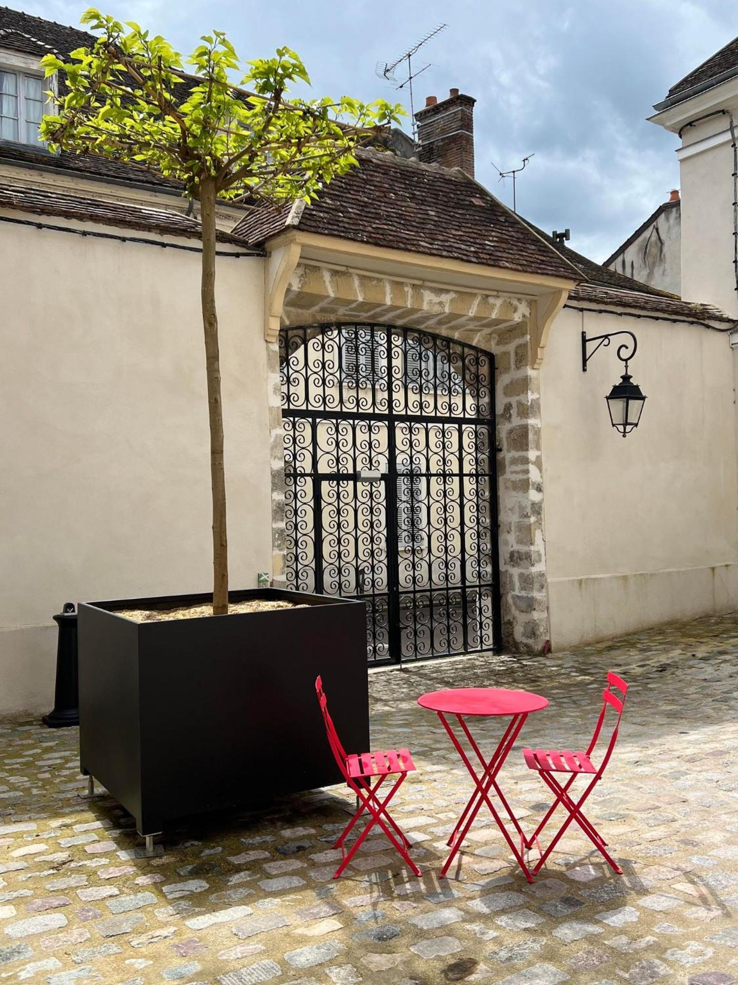 Le Laurencin Sens - Le Duplex - Coeur De Ville Buitenkant foto